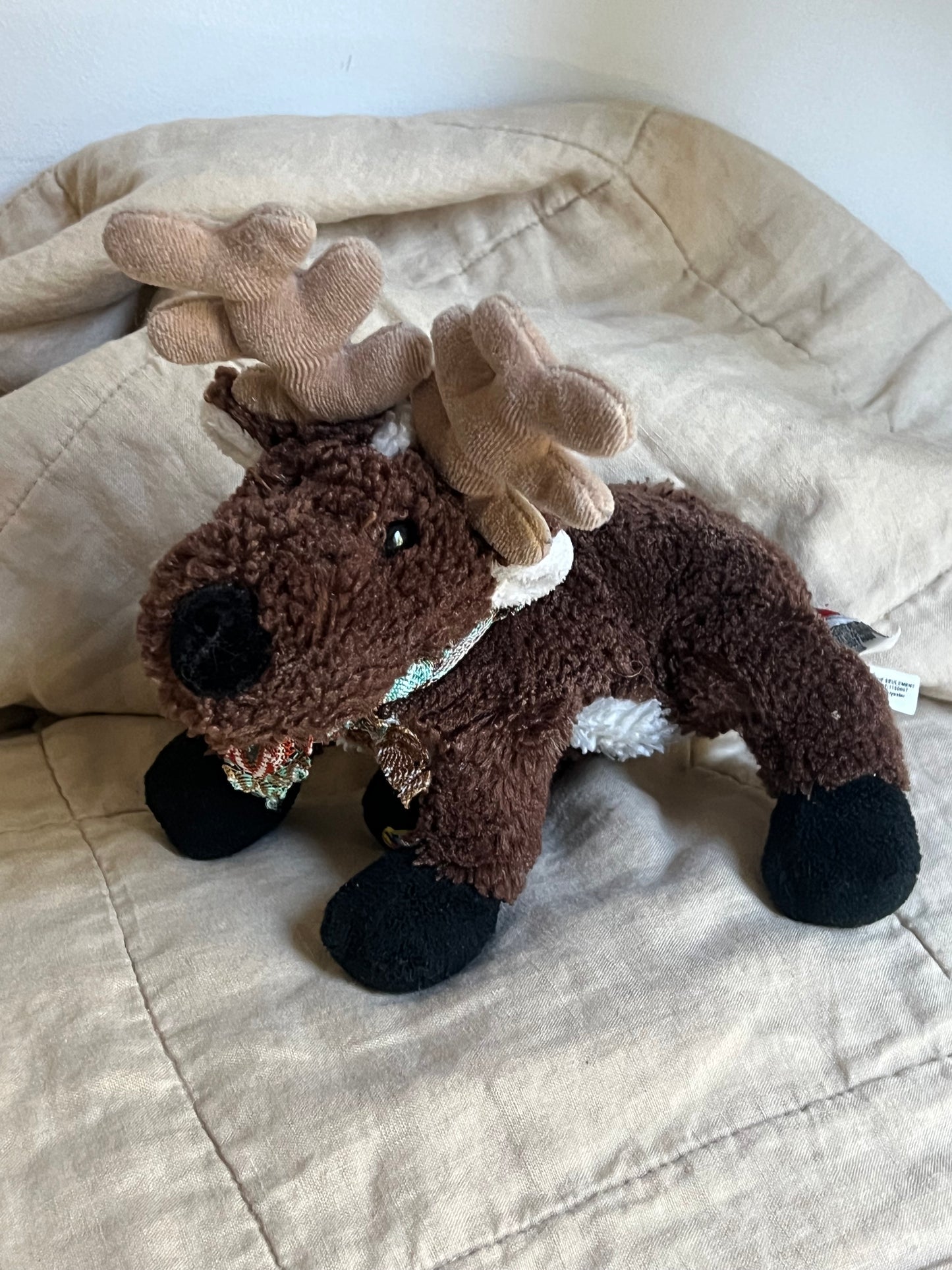 Monty the Moose