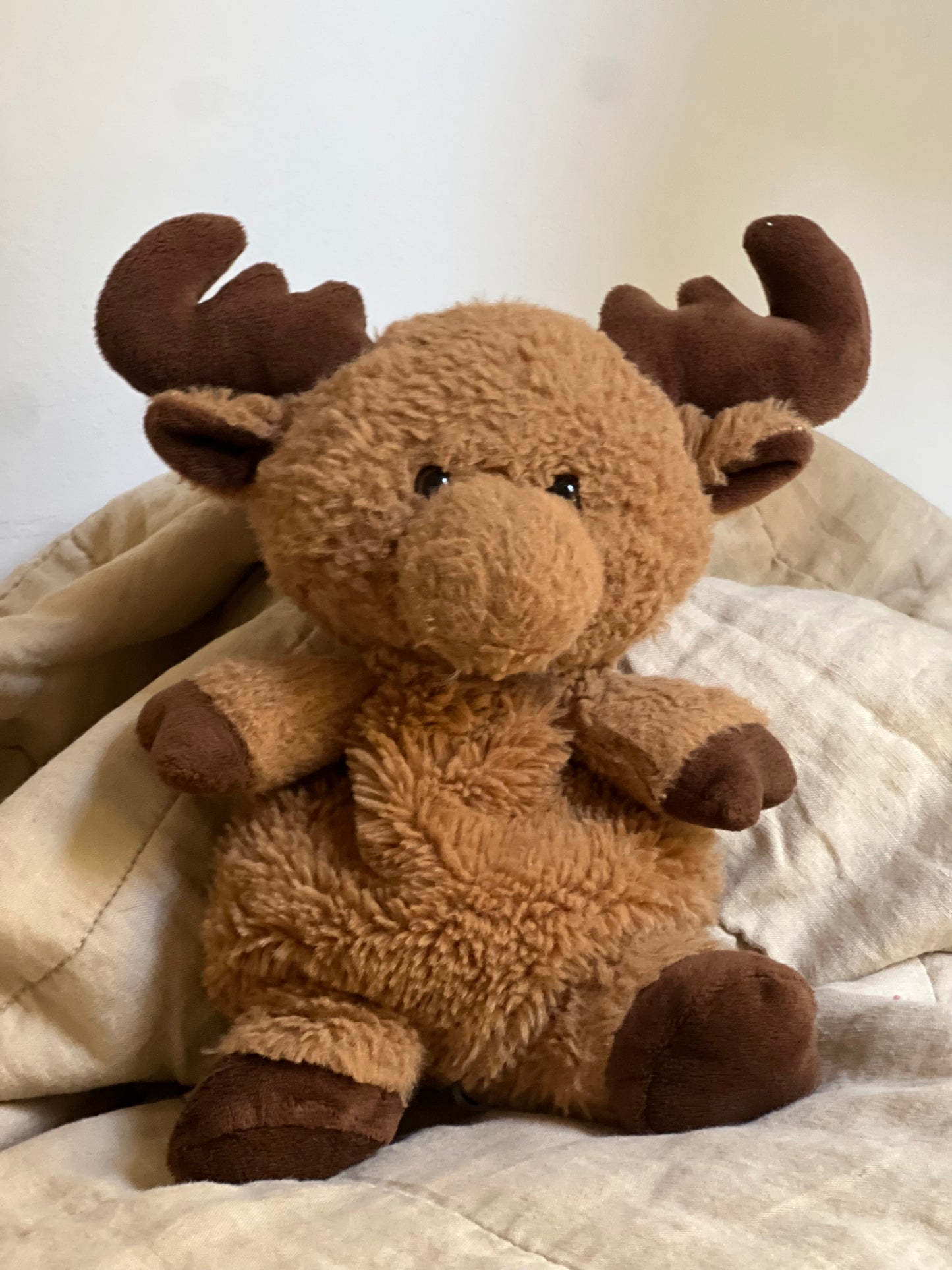 Moose the Moose