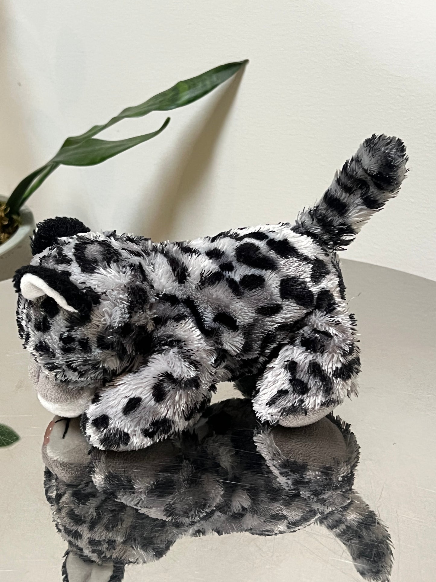Luna the Snow Leopard