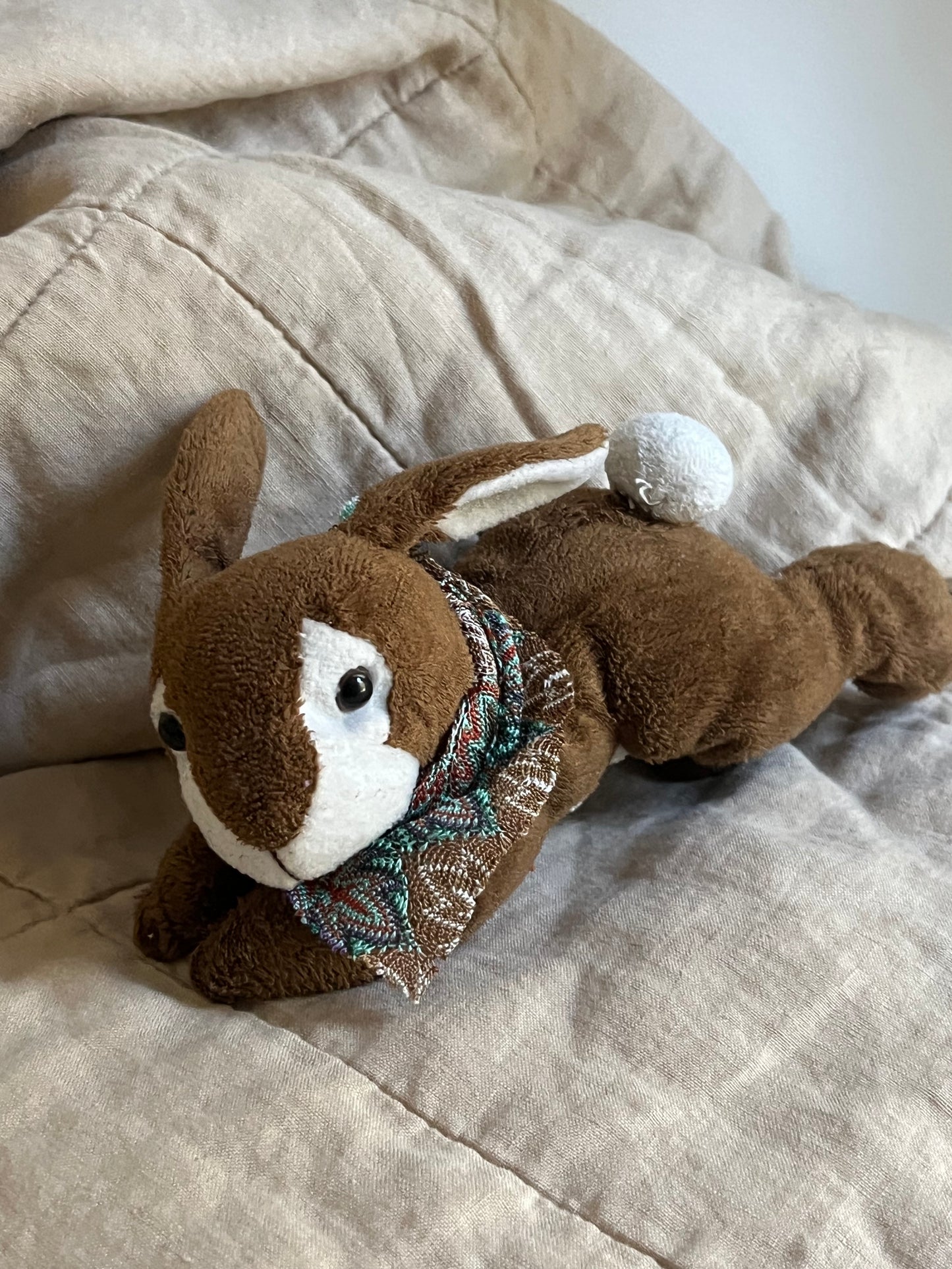 Lopsy the Jack Rabbit