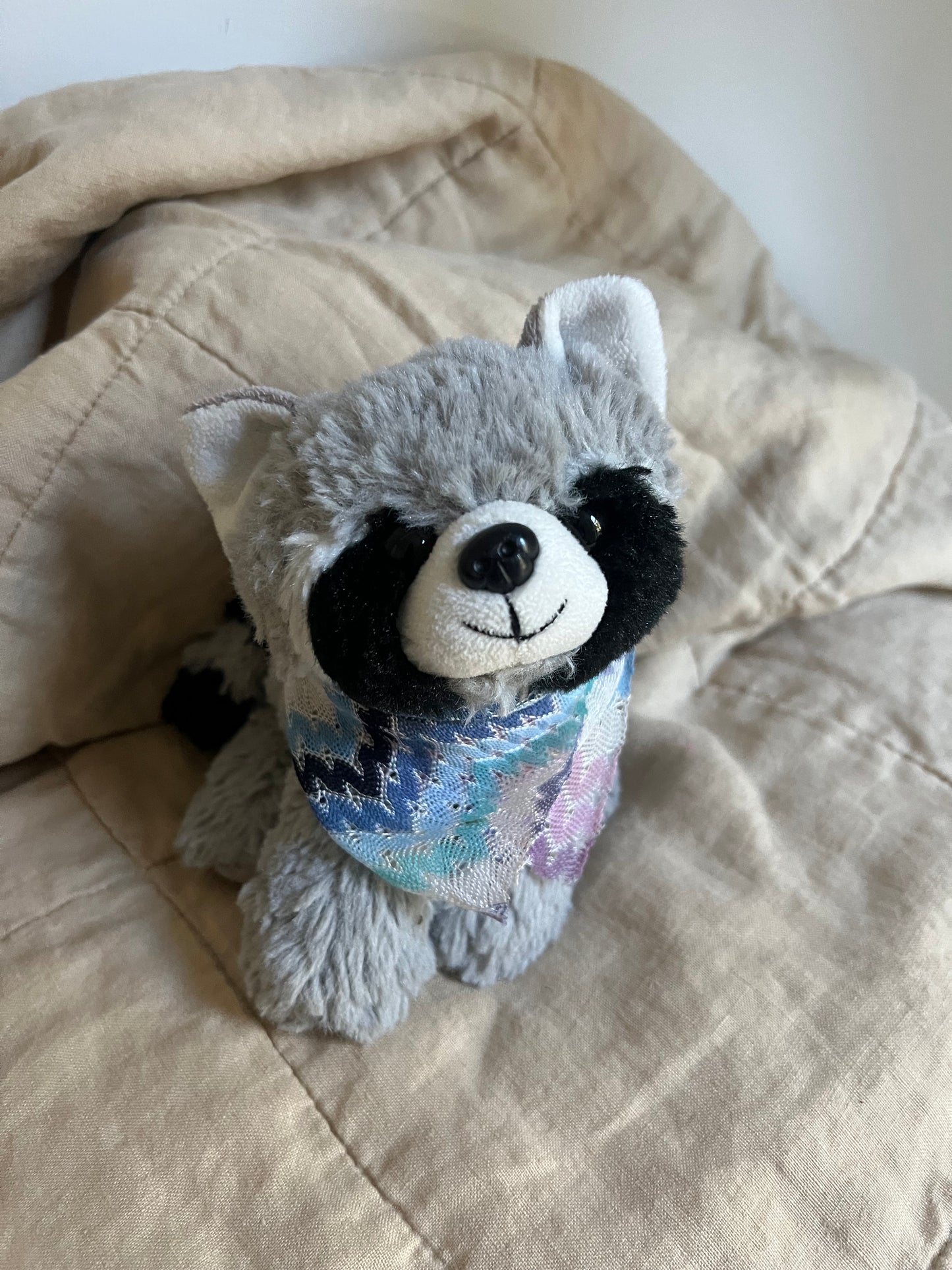 Rocky the Racoon