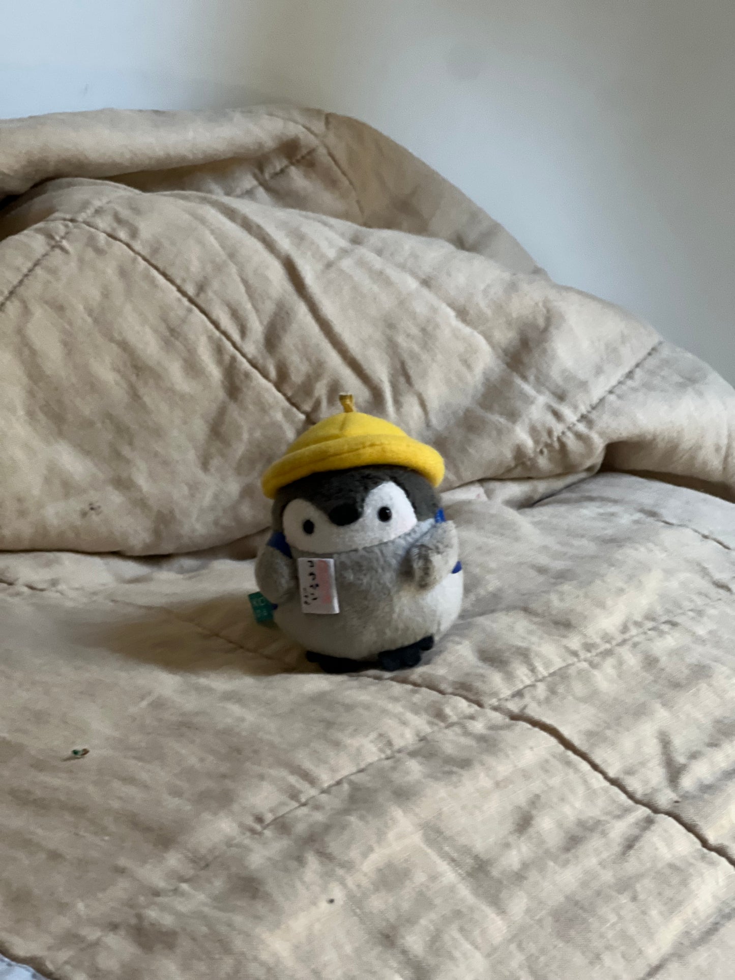 Pebbles the Penguin