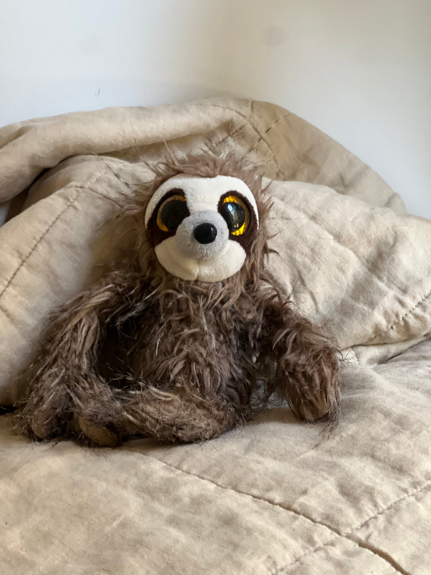 Luna the Sloth