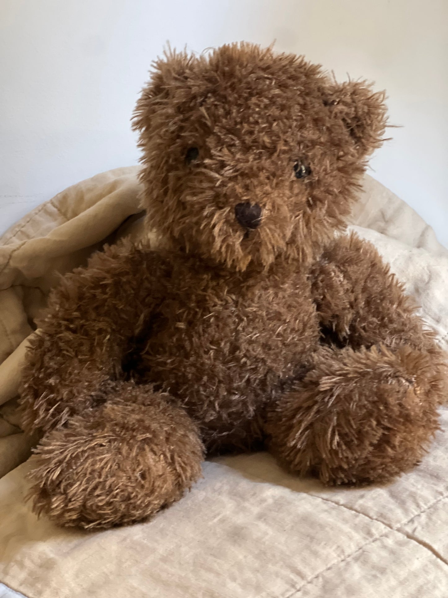 River the Bear