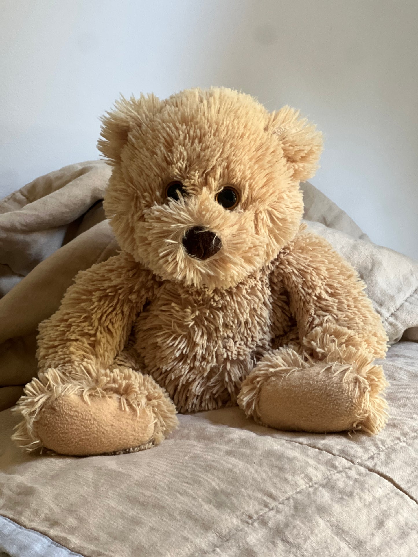 Sunny the Bear
