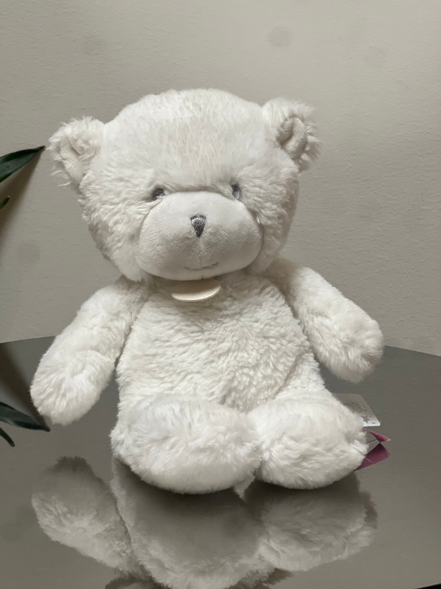 Snowball the Bear
